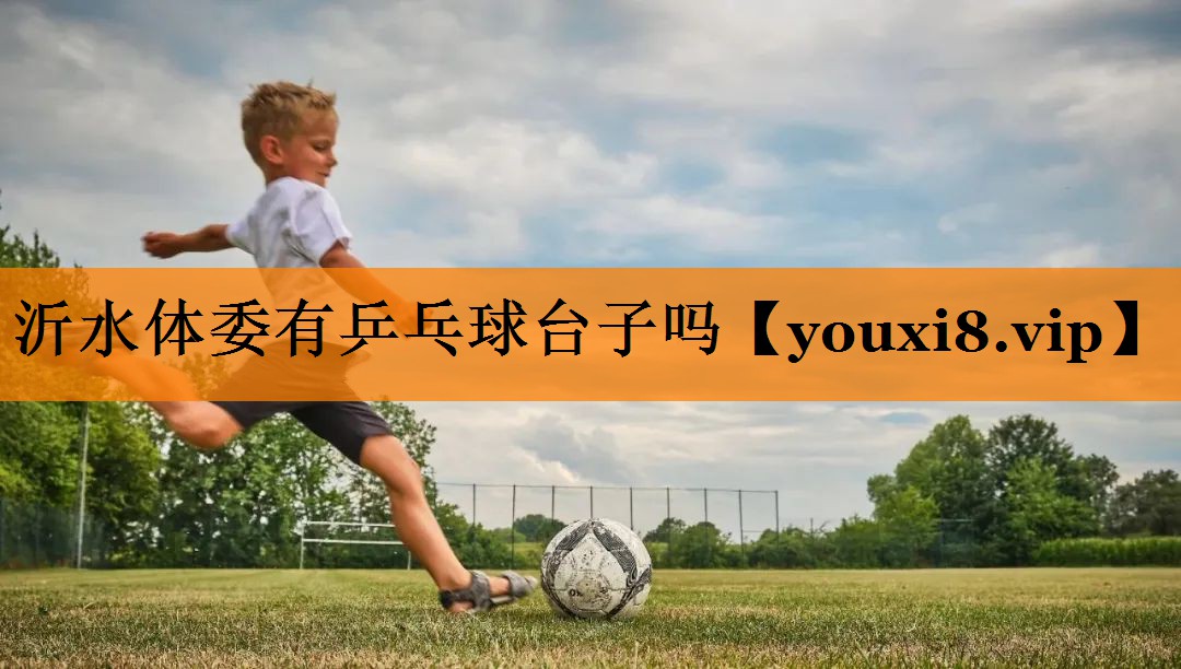 沂水体委有乒乓球台子吗