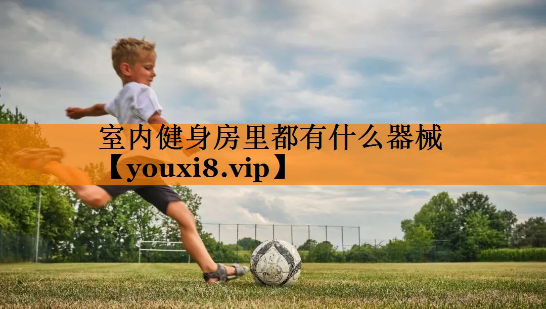 室内健身房里都有什么器械