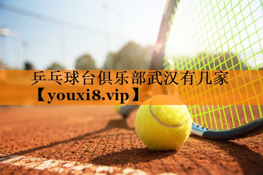乒乓球台俱乐部武汉有几家