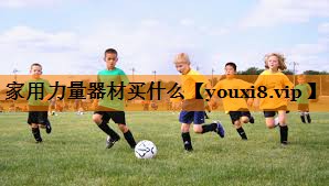 家用力量器材买什么