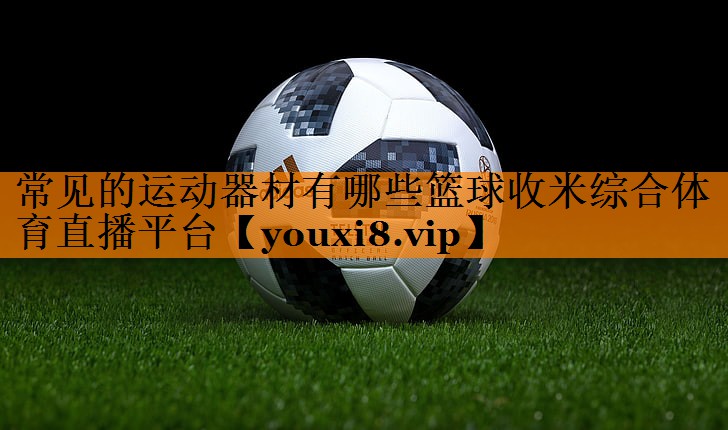 常见的运动器材有哪些篮球收米综合体育直播平台