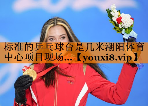 标准的乒乓球台是几米潮阳体育中心项目现场…