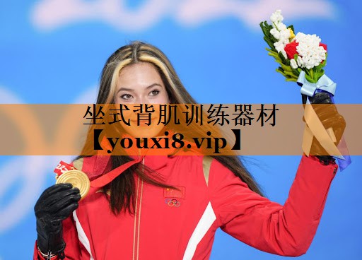 坐式背肌训练器材
