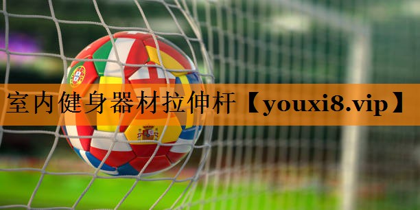 室内健身器材拉伸杆