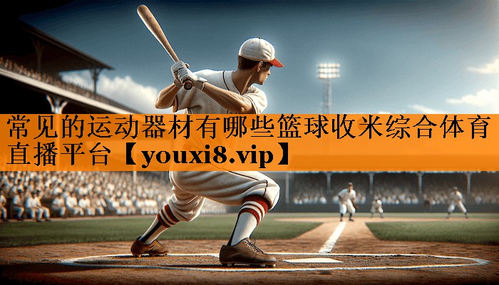 常见的运动器材有哪些篮球收米综合体育直播平台