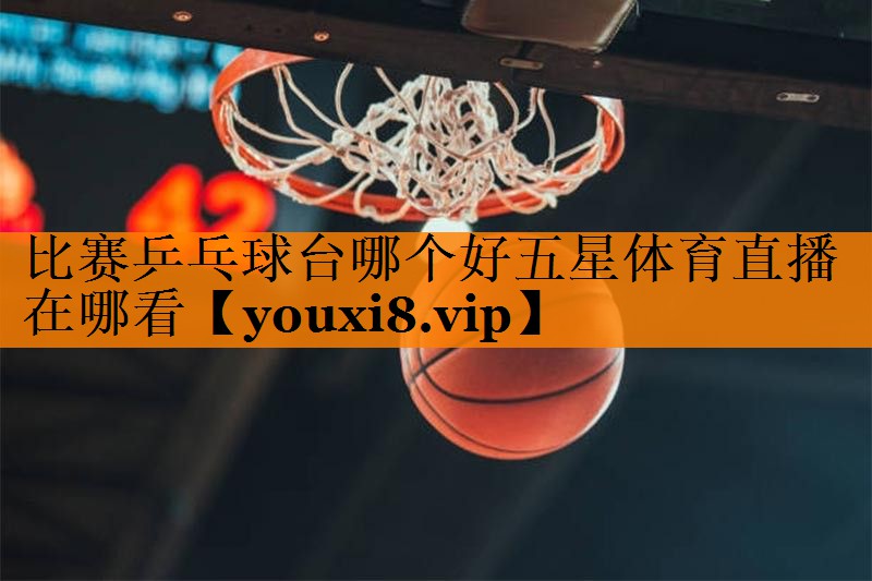 比赛乒乓球台哪个好五星体育直播在哪看