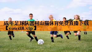 成年足球队器材山猫体育免费直播下载