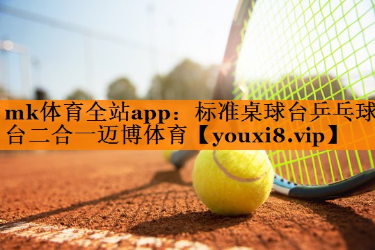 mk体育全站app：标准桌球台乒乓球台二合一迈博体育