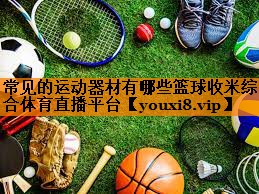 常见的运动器材有哪些篮球收米综合体育直播平台