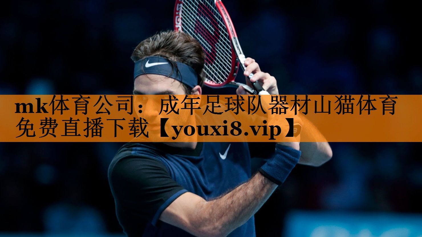 mk体育公司：成年足球队器材山猫体育免费直播下载