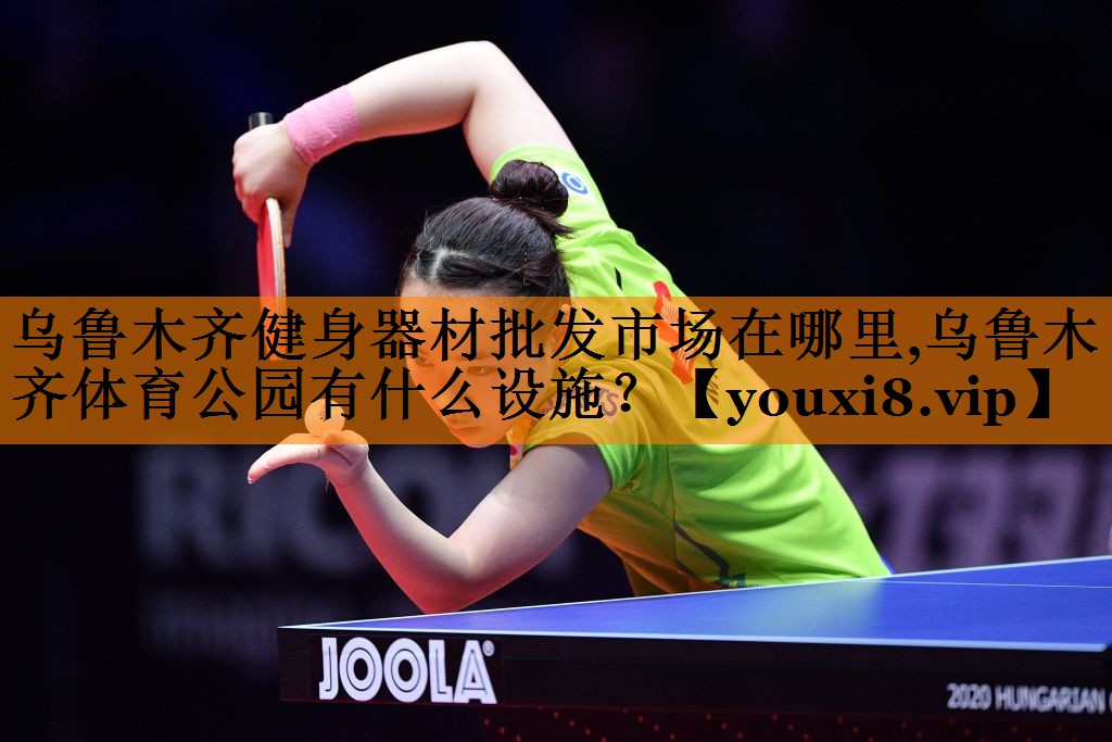 乌鲁木齐健身器材批发市场在哪里,乌鲁木齐体育公园有什么设施？