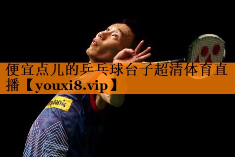 便宜点儿的乒乓球台子超清体育直播