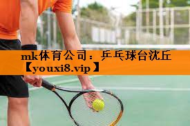mk体育公司：乒乓球台沈丘