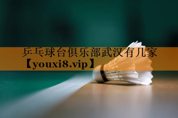 乒乓球台俱乐部武汉有几家