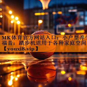 MK体育官方网站入口：小户型养生福音：踏步机适用于各种家庭空间