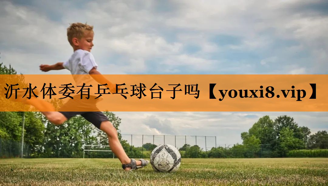 沂水体委有乒乓球台子吗
