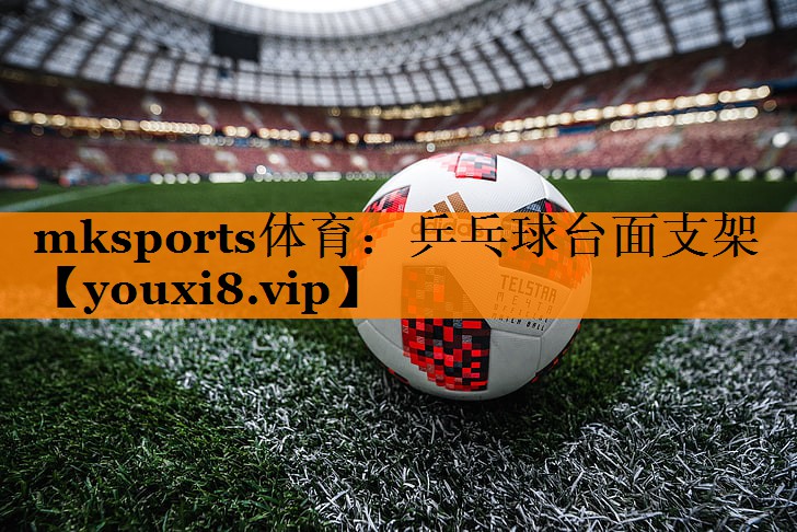 乒乓球台面支架