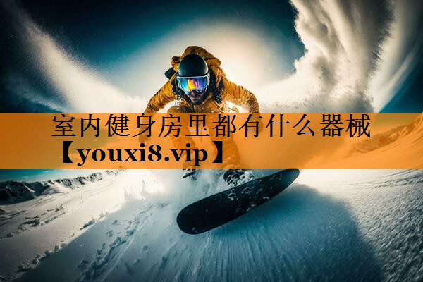 室内健身房里都有什么器械