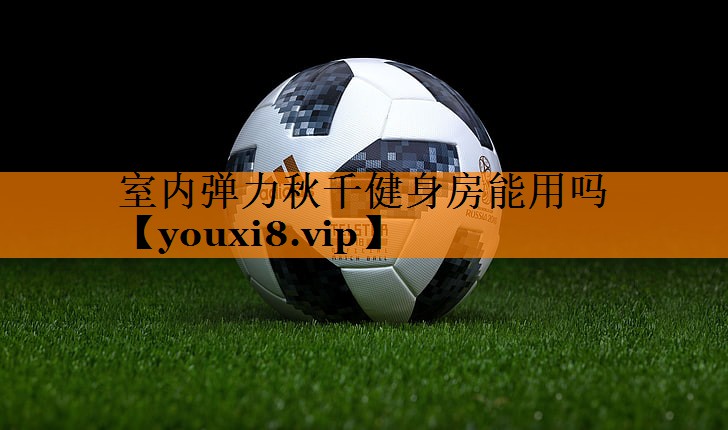室内弹力秋千健身房能用吗