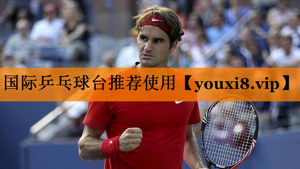 国际乒乓球台推荐使用