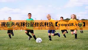 现在乒乓球台是什么材质