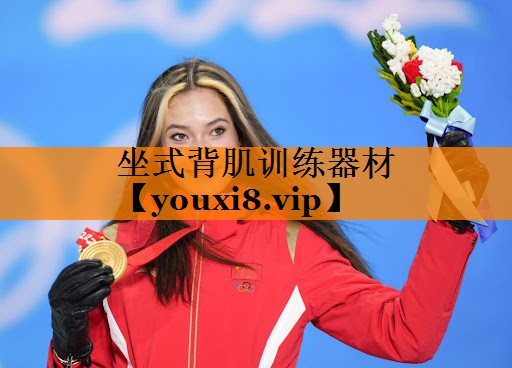 坐式背肌训练器材