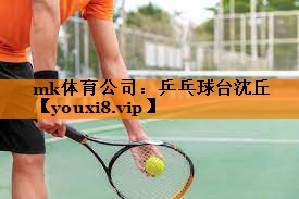乒乓球台沈丘