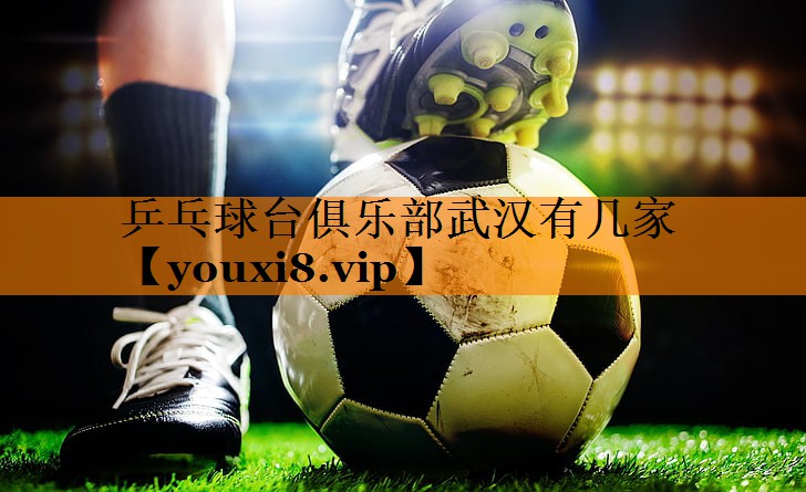 乒乓球台俱乐部武汉有几家
