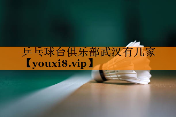 乒乓球台俱乐部武汉有几家