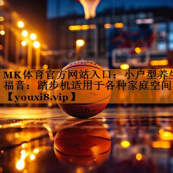 小户型养生福音：踏步机适用于各种家庭空间